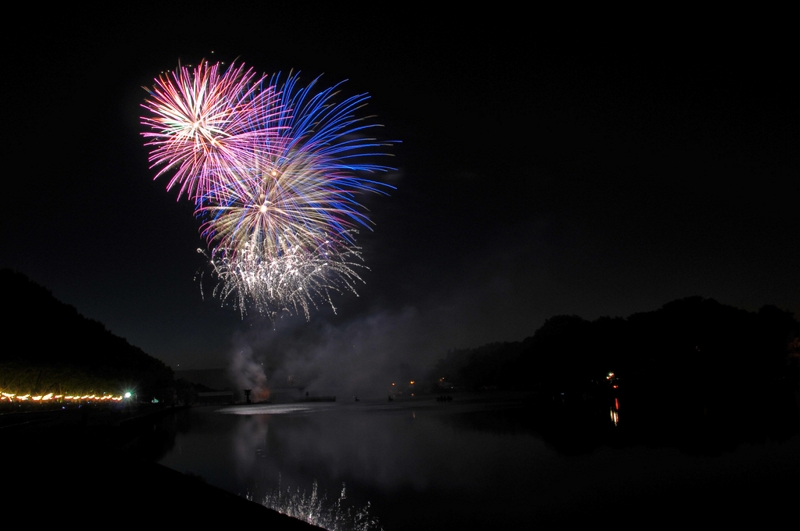 Evry Daily Photo - Fete Nationale 14 Juillet Evry - Feu D Artifice - large - 4791768582.jpg